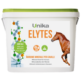 ELYTES